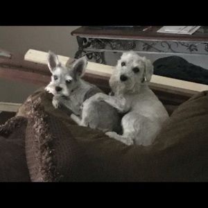 Meet your Posher, Jeffery